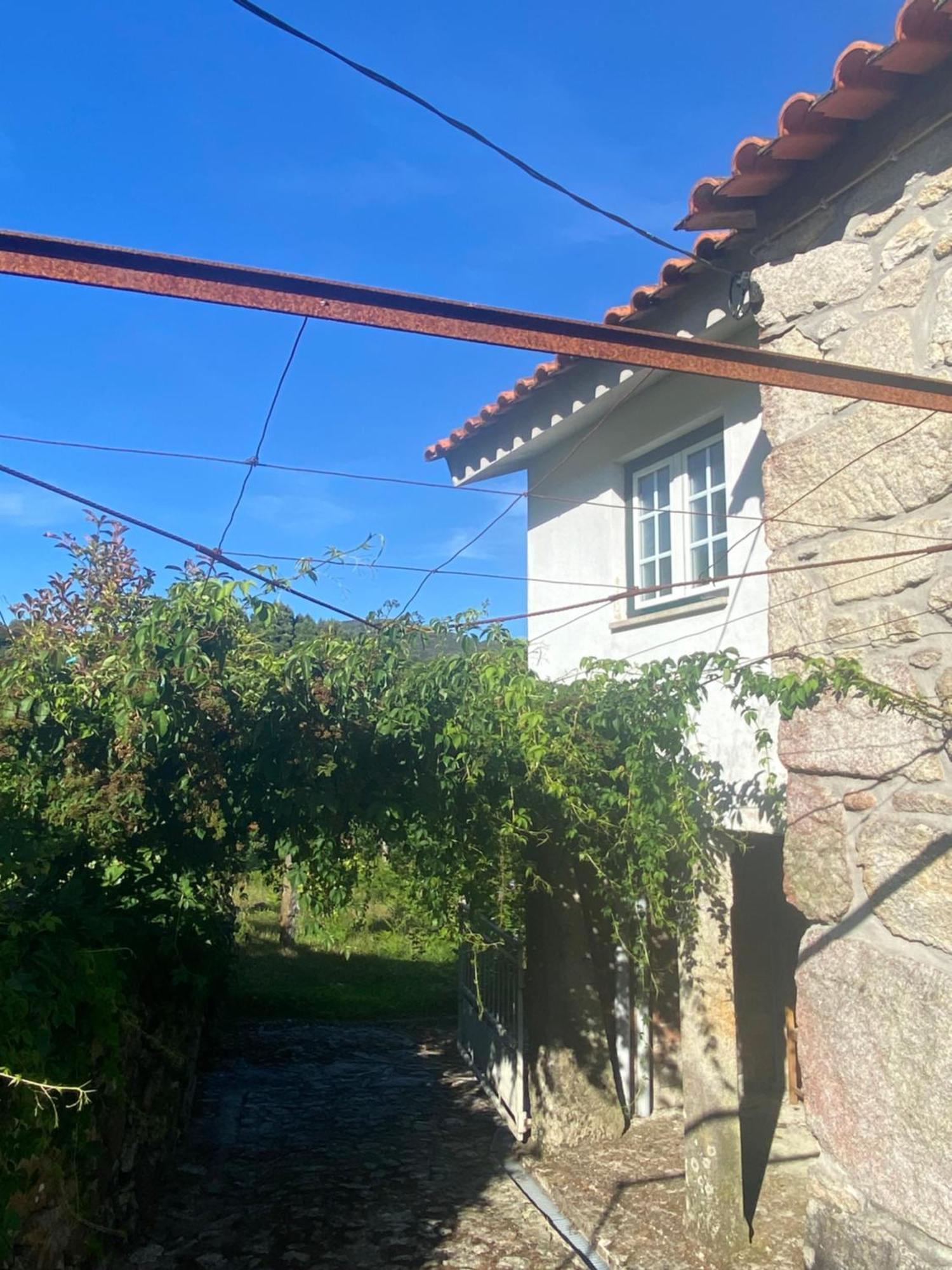 Вилла Casa Do Carqueijo Вила-Прайа-де-Анкора Экстерьер фото